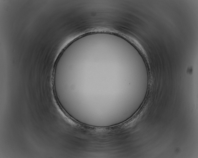 X0000091660847200708230949
