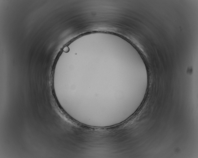 X0000091660848200708230949