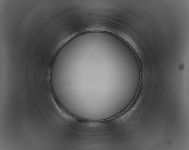 X0000091660849200708230949