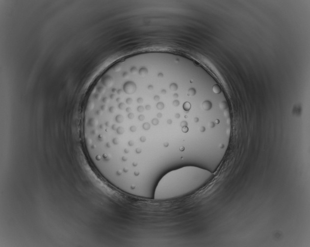 X0000091660851200708230949
