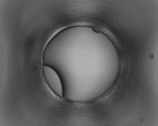 X0000091660852200708230949