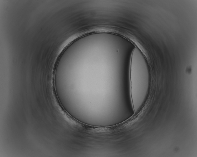 X0000091660853200708230949