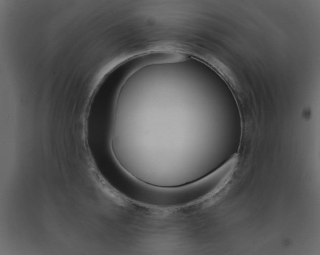 X0000091660854200708230949