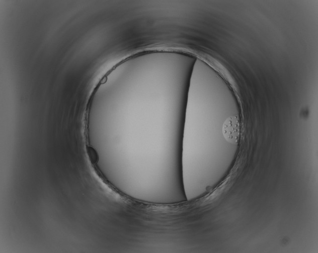 X0000091660855200708230949