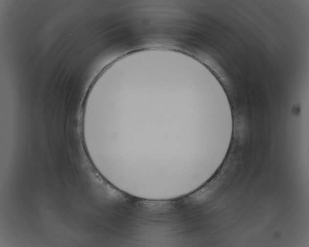X0000091660856200708230949