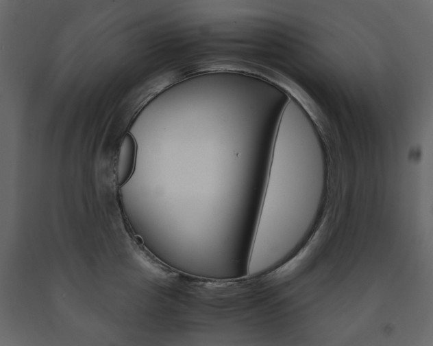 X0000091660857200708230949