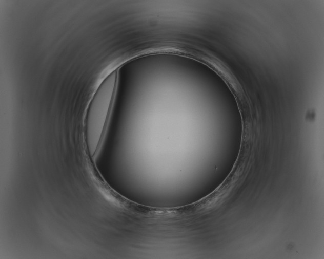 X0000091660858200708230949