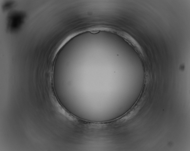 X0000091660860200708230949