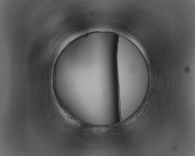 X0000091660861200708230949