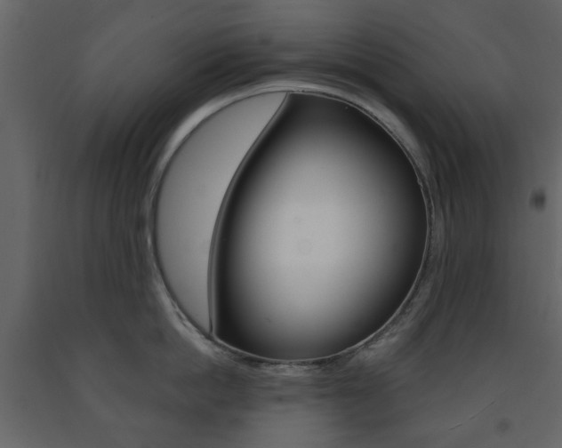 X0000091660862200708230949
