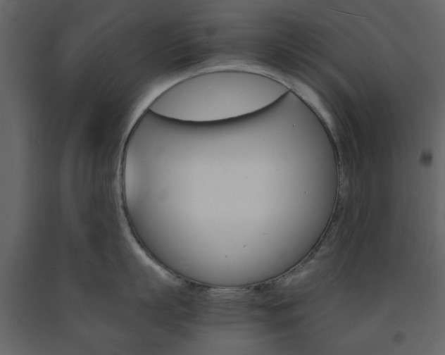 X0000091660863200708230949