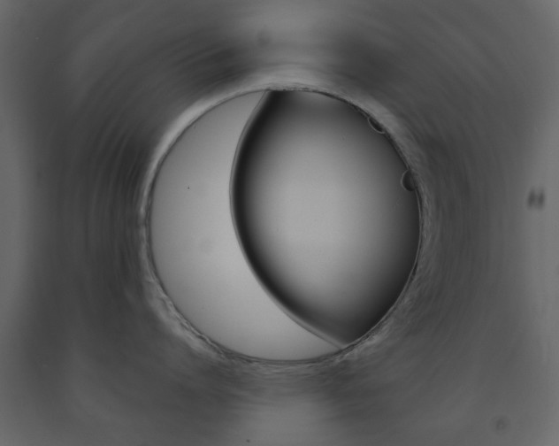 X0000091660864200708230949