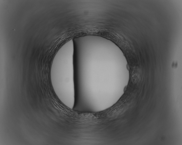 X0000091660866200708230948