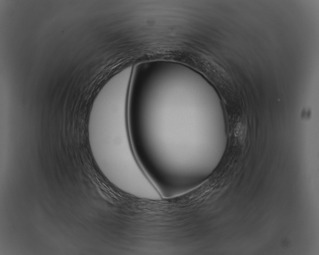 X0000091660868200708230948