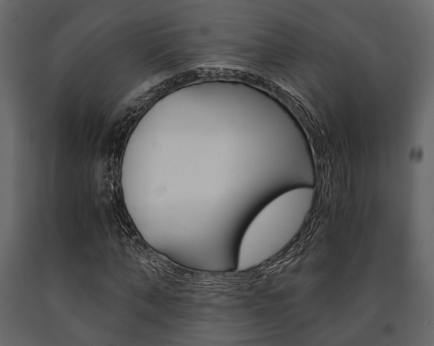 X0000091660870200708230948
