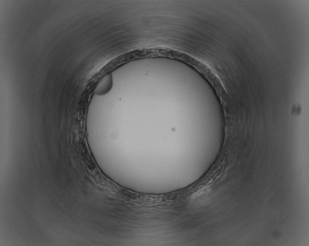 X0000091660871200708230948