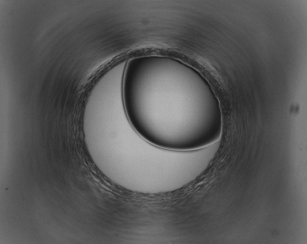 X0000091660872200708230948