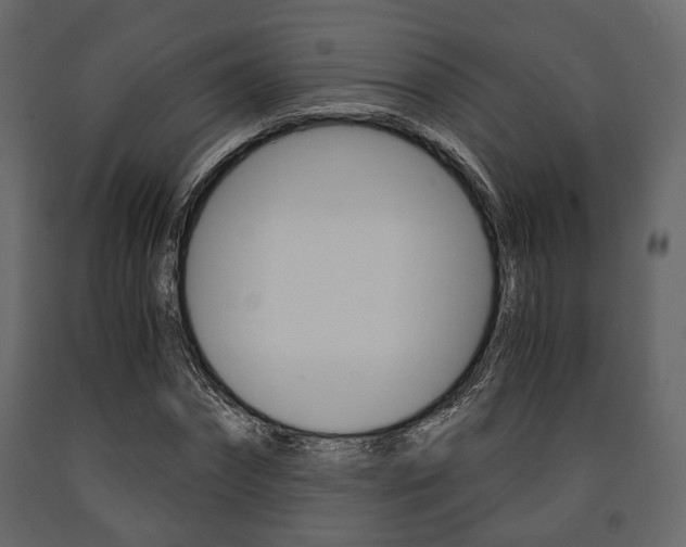X0000091660874200708230948