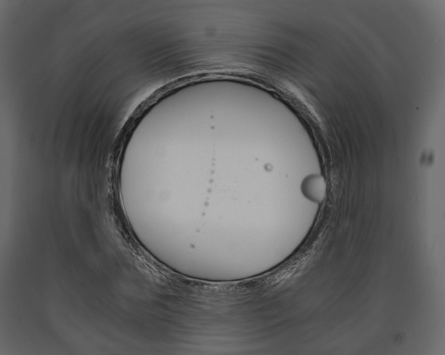 X0000091660875200708230948
