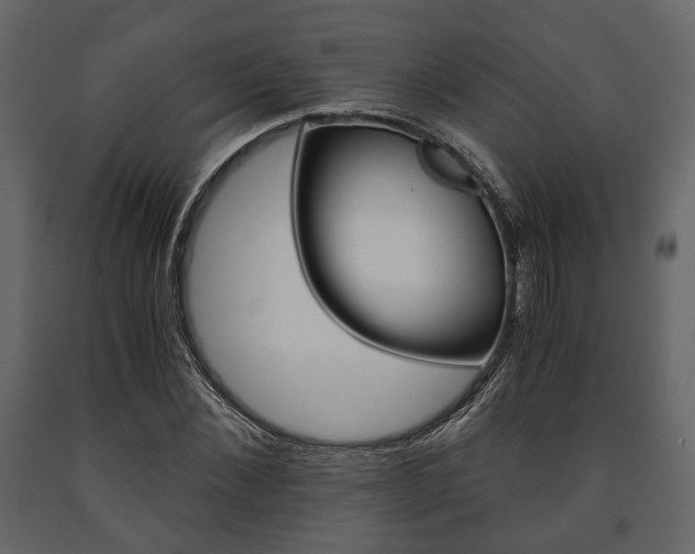 X0000091660876200708230948