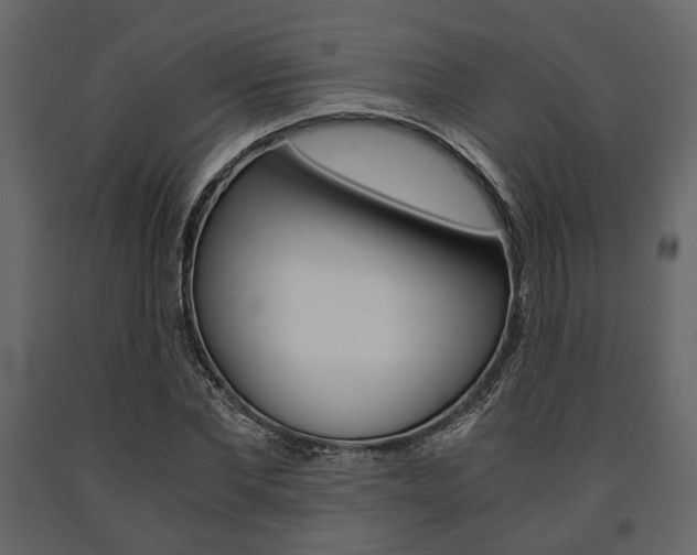 X0000091660877200708230948