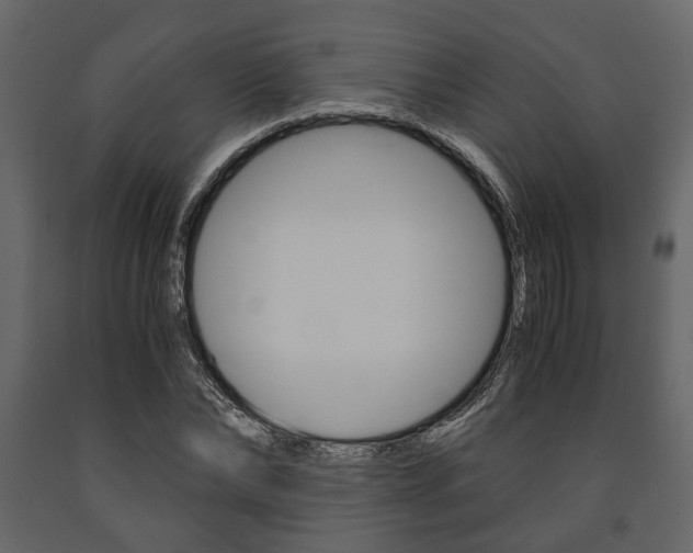 X0000091660878200708230948