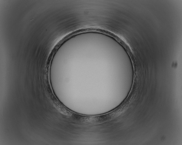X0000091660879200708230948