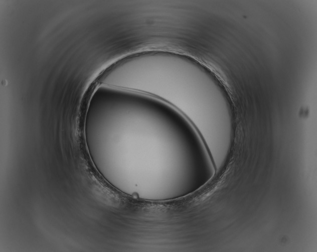 X0000091660880200708230948