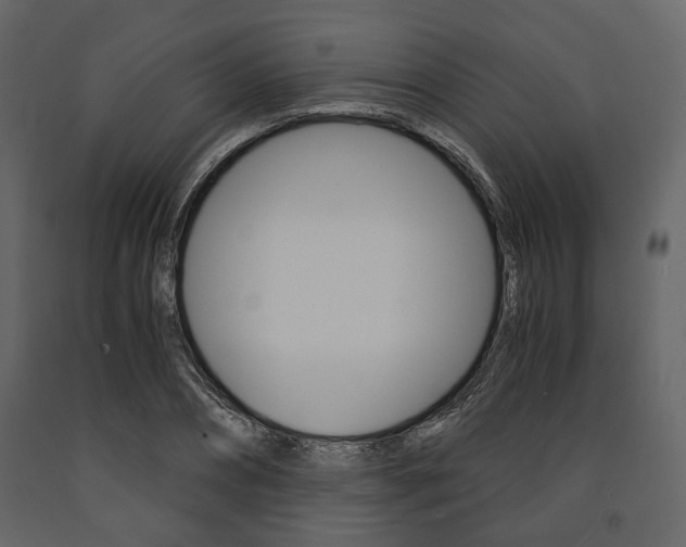 X0000091660882200708230948