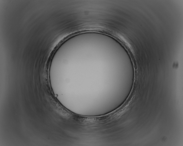 X0000091660883200708230948