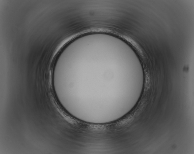 X0000091660886200708230948