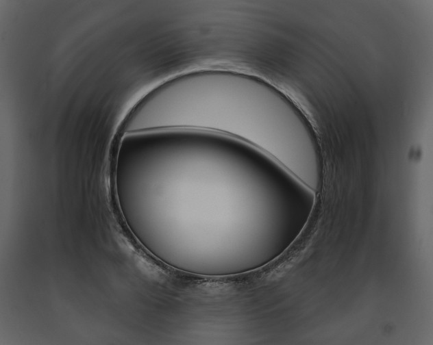 X0000091660888200708230948