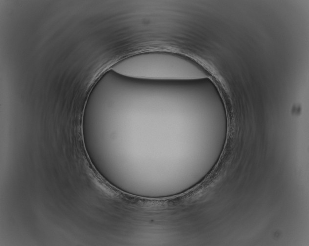 X0000091660889200708230948