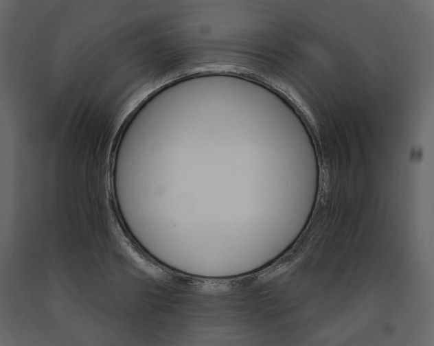 X0000091660890200708230947