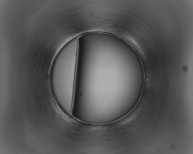 X0000091660892200708230947