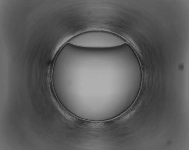 X0000091660893200708230947