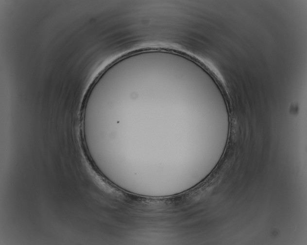 X0000091660895200708230947