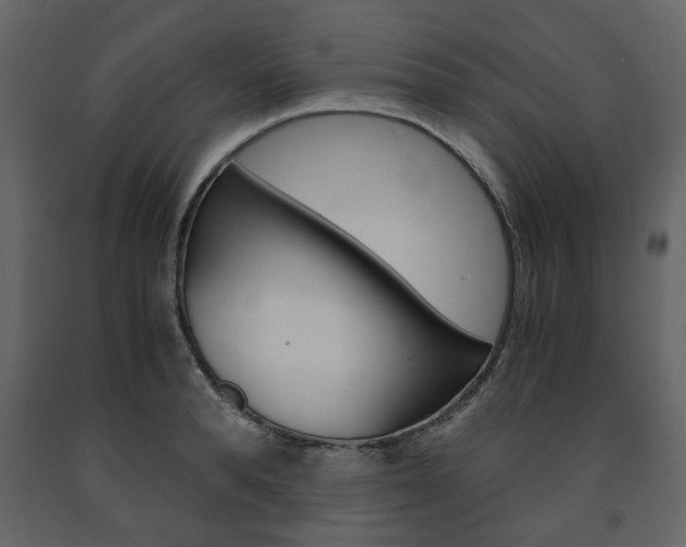 X0000091660896200708230947