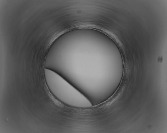 X0000091660897200708230947