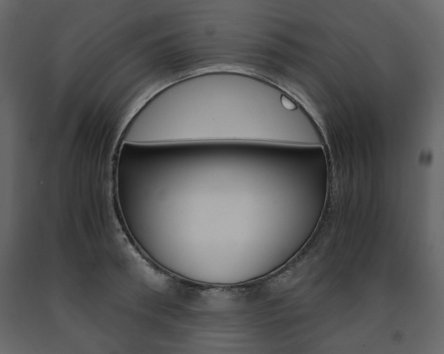 X0000091660898200708230947
