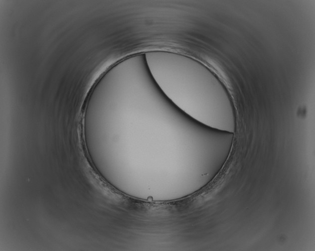X0000091660899200708230947