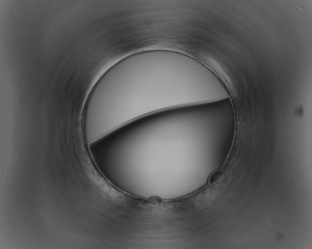 X0000091660900200708230947
