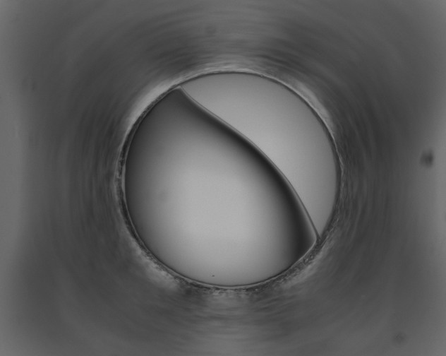 X0000091660901200708230947