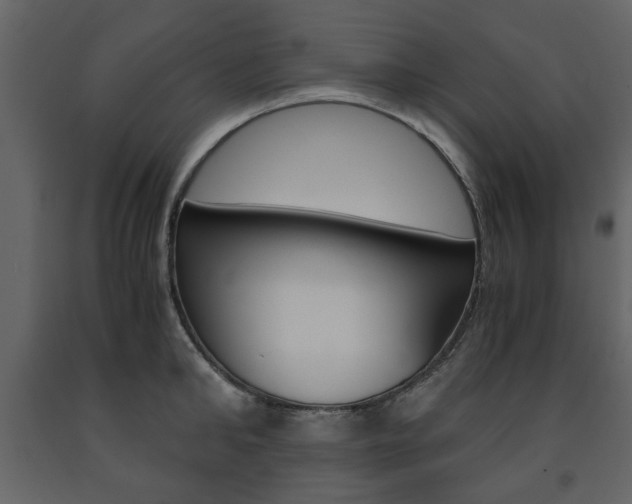 X0000091660902200708230947