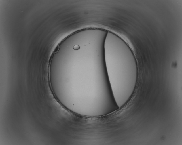 X0000091660903200708230947