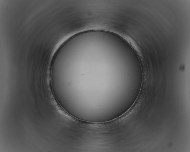 X0000091660904200708230947
