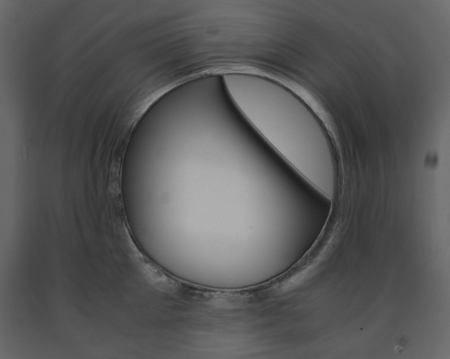 X0000091660905200708230947