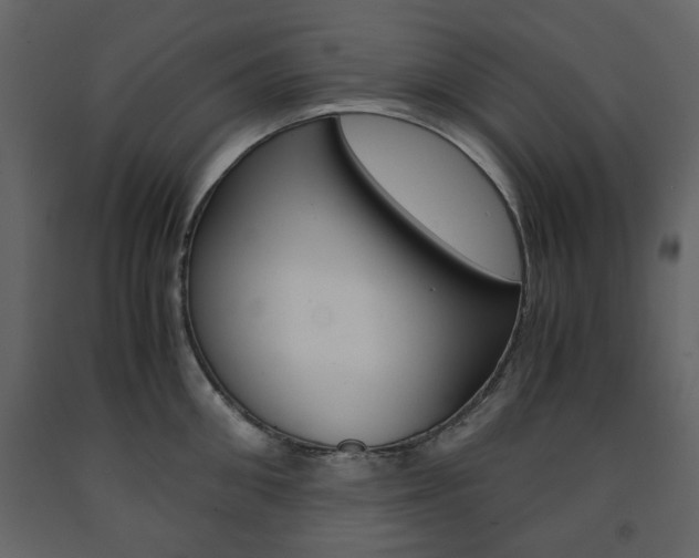 X0000091660906200708230947
