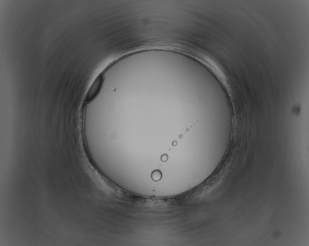 X0000091660907200708230947