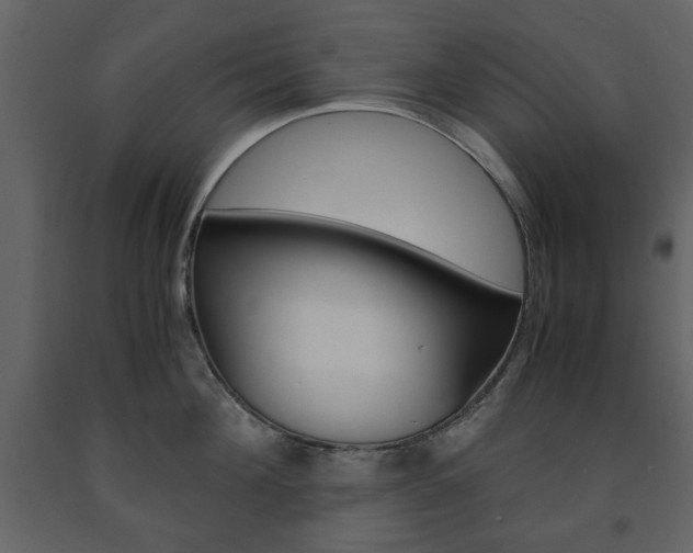X0000091660908200708230947
